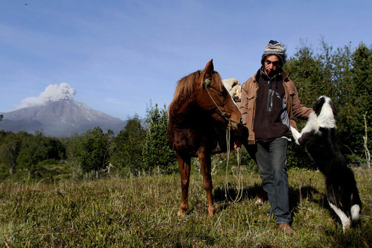 Joven chileno niega abandonar su caballo